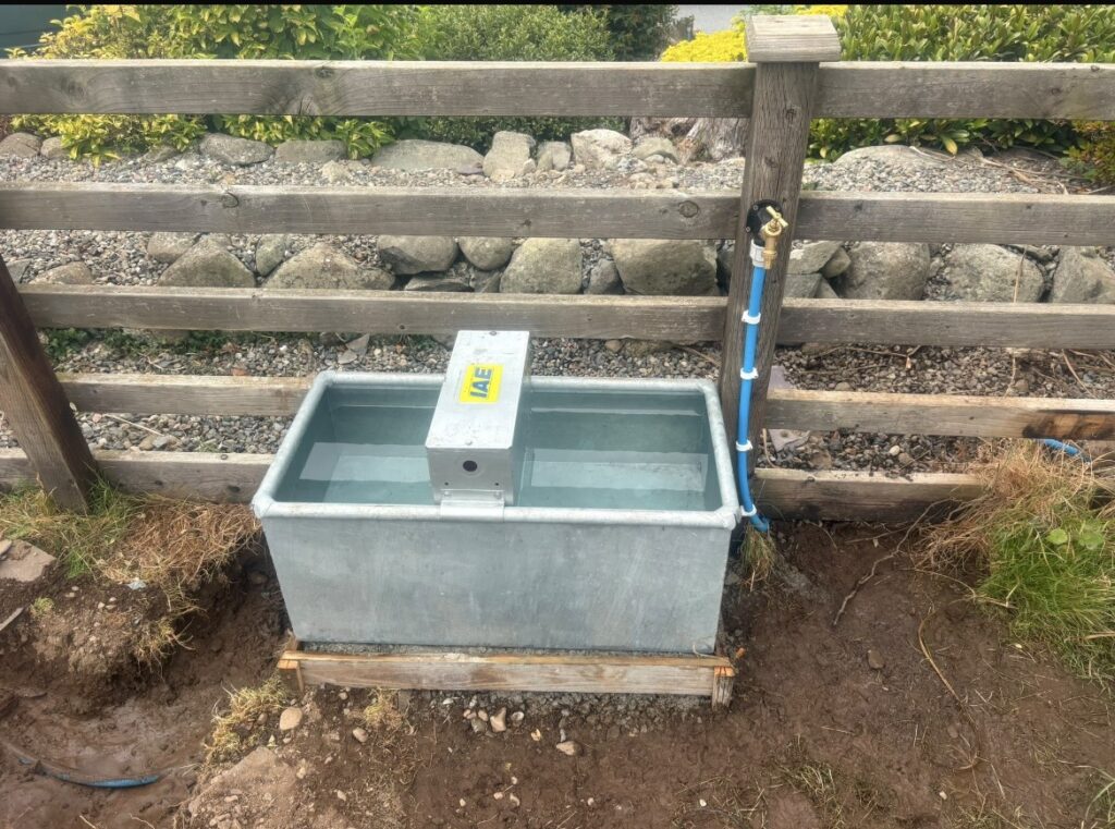 Water feeders in Gwyned