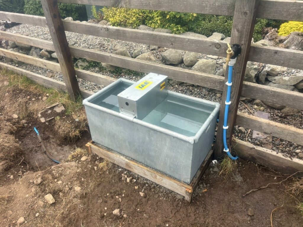 Water feeders in Gwynedd